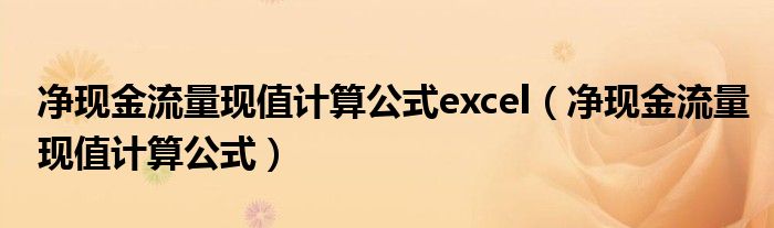 净现金流量现值计算公式(净现金流量现值计算公式excel)