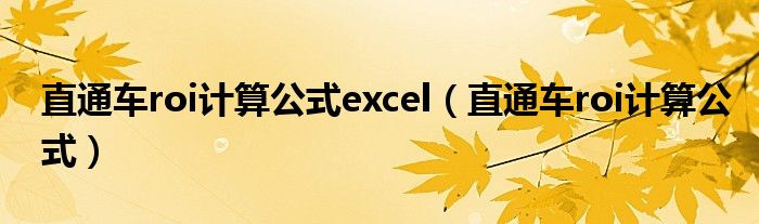 直通车roi计算公式(直通车roi计算公式excel)