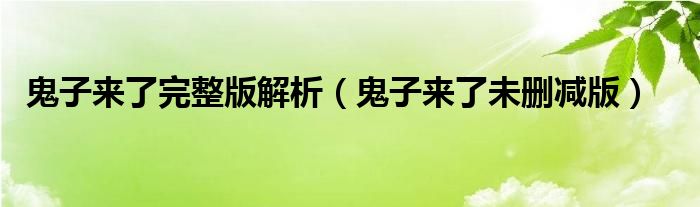 鬼子来了未删减版(鬼子来了完整版解析)