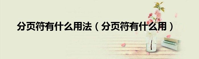 分页符有什么用(分页符有什么用法)