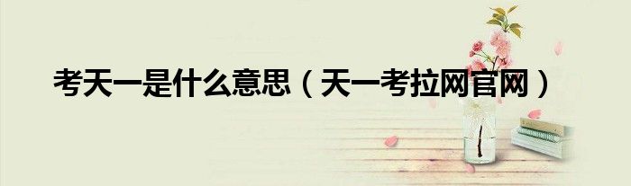 天一考拉网官网(考天一是什么意思)