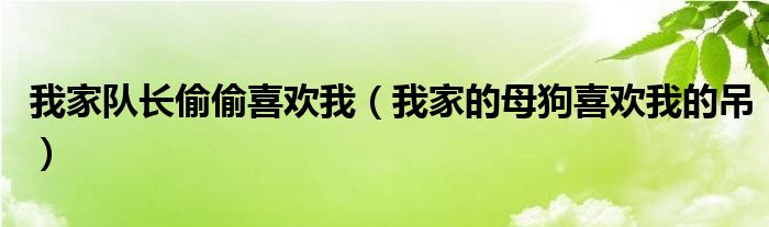 我家的母狗喜欢我的吊(我家队长偷偷喜欢我)