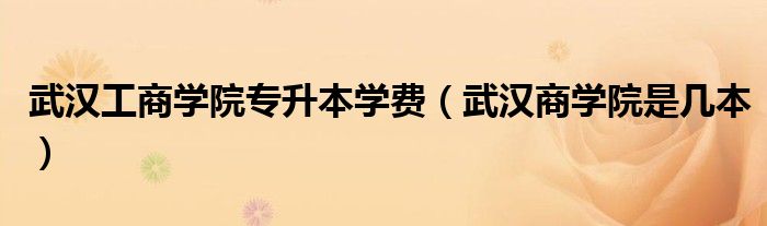 武汉商学院是几本(武汉工商学院专升本学费)