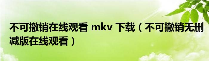 不可撤销无删减版在线观看(不可撤销在线观看 mkv 下载)