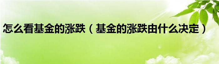 基金的涨跌由什么决定(怎么看基金的涨跌)