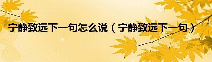 宁静致远下一句(宁静致远下一句怎么说)