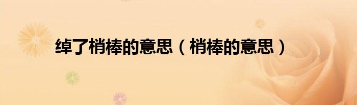 梢棒的意思(绰了梢棒的意思)