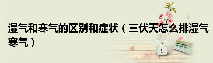 三伏天怎么排湿气寒气(湿气和寒气的区别和症状)