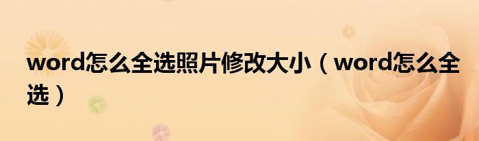 word怎么全选(word怎么全选照片修改大小)