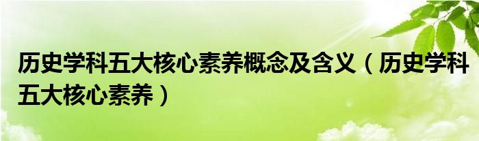 历史学科五大核心素养(历史学科五大核心素养概念及含义)