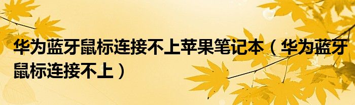 华为蓝牙鼠标连接不上(华为蓝牙鼠标连接不上苹果笔记本)