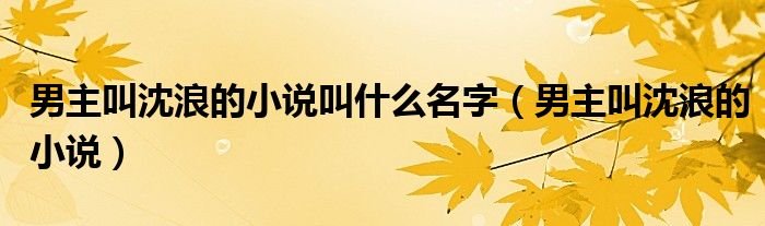 男主叫沈浪的小说(男主叫沈浪的小说叫什么名字)