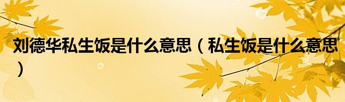 私生饭是什么意思(刘德华私生饭是什么意思)