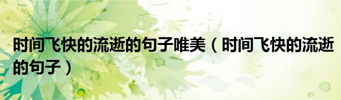 时间飞快的流逝的句子(时间飞快的流逝的句子唯美)