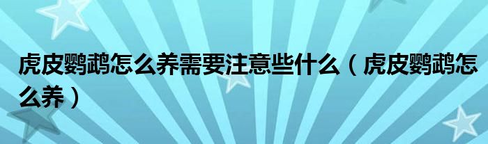 虎皮鹦鹉怎么养(虎皮鹦鹉怎么养需要注意些什么)