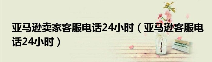亚马逊客服电话24小时(亚马逊卖家客服电话24小时)