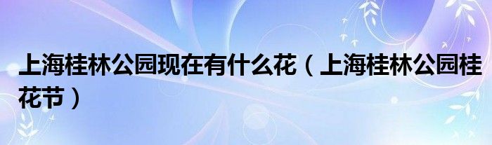 上海桂林公园桂花节(上海桂林公园现在有什么花)