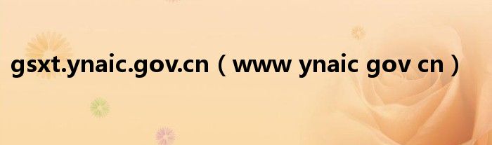www ynaic gov cn(gsxt.ynaic.gov.cn)