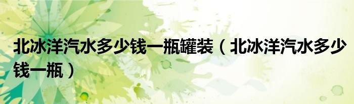 北冰洋汽水多少钱一瓶(北冰洋汽水多少钱一瓶罐装)
