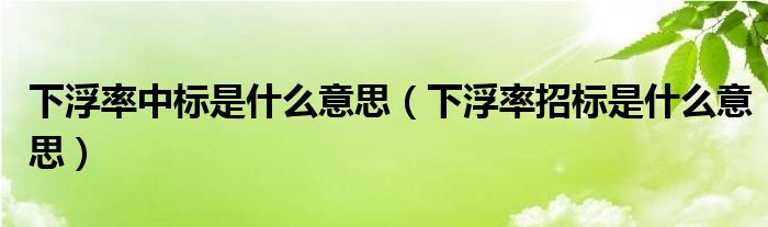 下浮率招标是什么意思(下浮率中标是什么意思)
