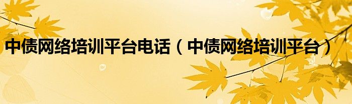 中债网络培训平台(中债网络培训平台电话)
