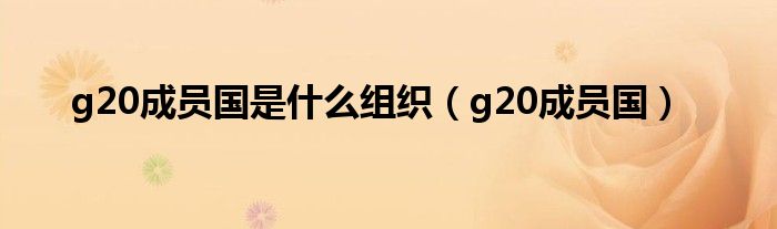 g20成员国(g20成员国是什么组织)