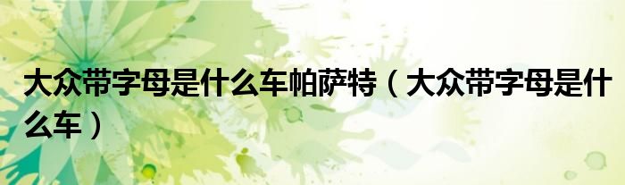 大众带字母是什么车(大众带字母是什么车帕萨特)