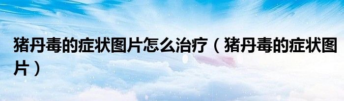 猪丹毒的症状图片(猪丹毒的症状图片怎么治疗)
