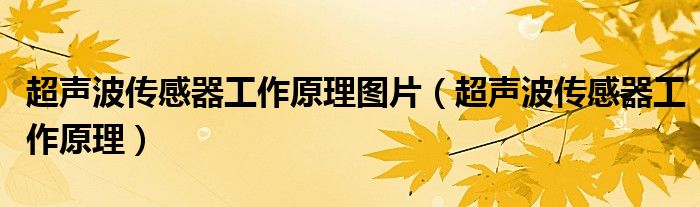 超声波传感器工作原理(超声波传感器工作原理图片)