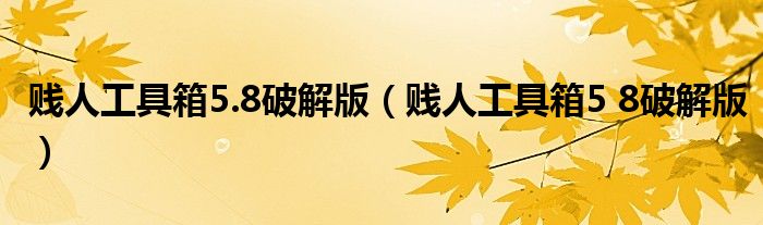 贱人工具箱5 8破解版(贱人工具箱5.8破解版)