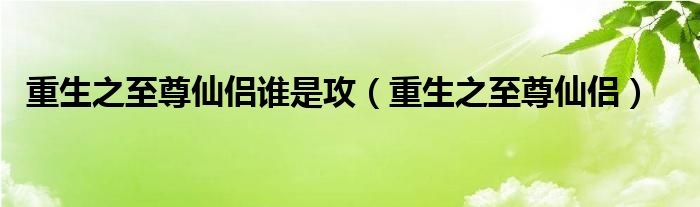 重生之至尊仙侣(重生之至尊仙侣谁是攻)