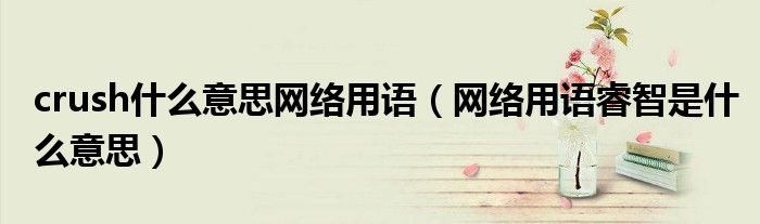 网络用语睿智是什么意思(crush什么意思网络用语)