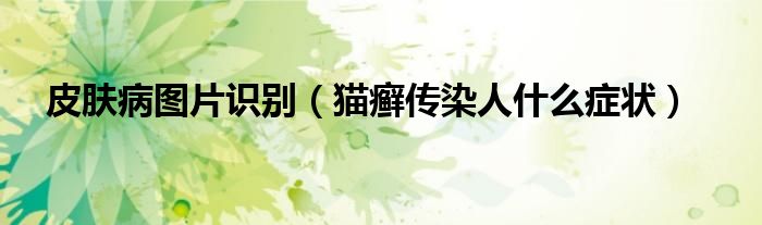 猫癣传染人什么症状(皮肤病图片识别)