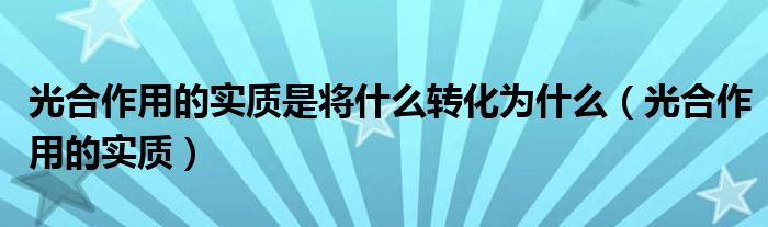 光合作用的实质(光合作用的实质是将什么转化为什么)