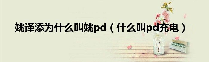 什么叫pd充电(姚译添为什么叫姚pd)