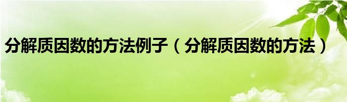分解质因数的方法(分解质因数的方法例子)