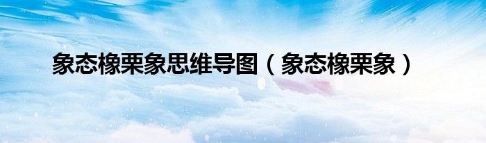 象态橡栗象(象态橡栗象思维导图)