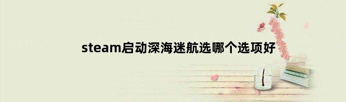 steam启动深海迷航选哪个选项好(Steam启动深海迷航选哪个选项)