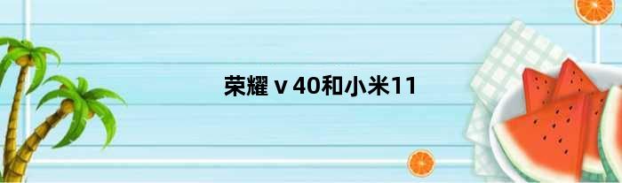 荣耀ⅴ40和小米11(荣耀和小米11哪个值得购买)