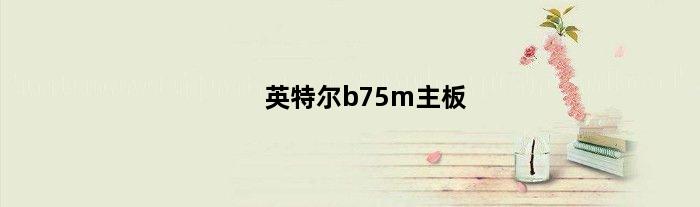 英特尔b75m主板(英特尔b75主板光盘装系统步骤)