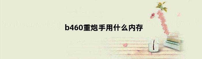 b460重炮手用什么内存(b760重炮手配什么内存条)