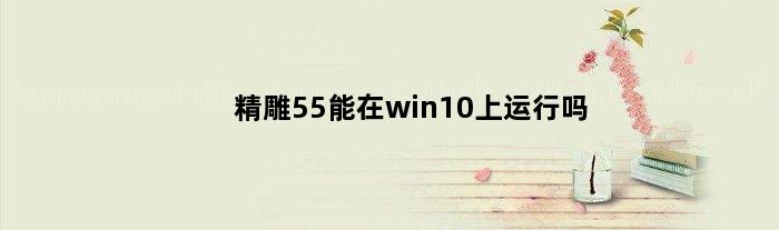 精雕55能在win10上运行吗(精雕55能在win10上运行吗)