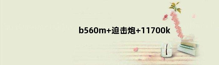 b560m 迫击炮 11700k(b660迫击炮能超频12700k吗)