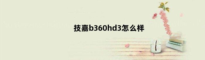 技嘉b360hd3怎么样(技嘉b360 hd3主板适合装什么网卡驱动技嘉网卡官网四种适合装哪一种)