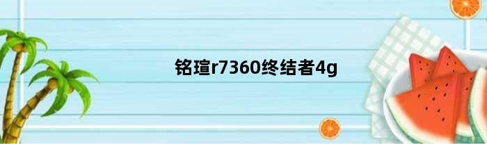 铭瑄r7360终结者4g(铭瑄b760m终结者是大主板吗)