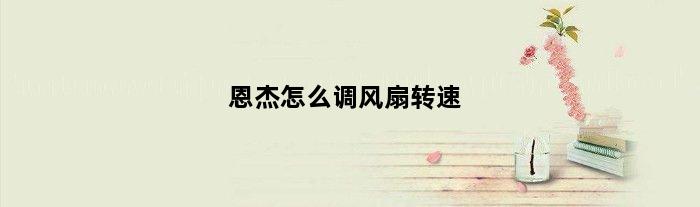 恩杰怎么调风扇转速(恩杰z73的风扇转速多少)