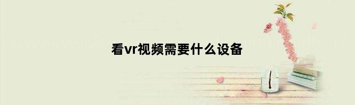 看vr视频需要什么设备(看vr视频需要什么)