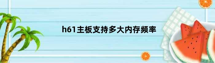 h61主板支持多大内存频率(h61plus主板支持单条16G内存条吗)