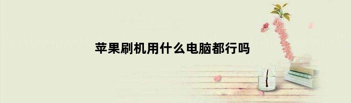 苹果刷机用什么电脑都行吗(苹果手机刷机对电脑有什么要求)