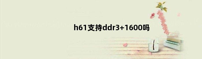 h61支持ddr3 1600吗(h610支持ddr43200吗)